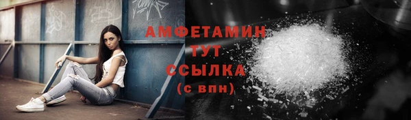 шишки Тотьма