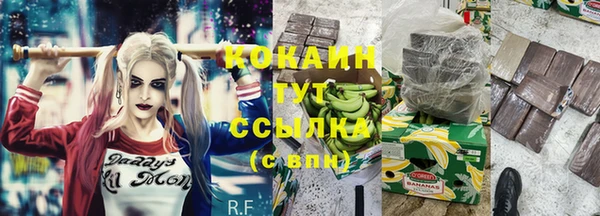 шишки Тотьма