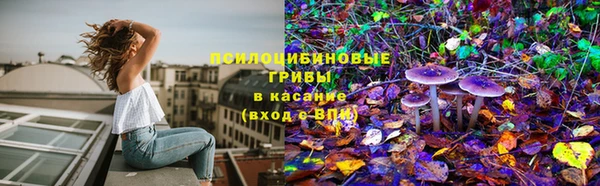 ешки Бежецк