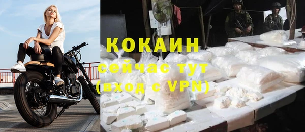 ешки Белая Холуница
