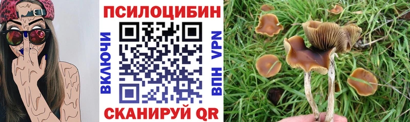 Псилоцибиновые грибы мицелий  Губаха 