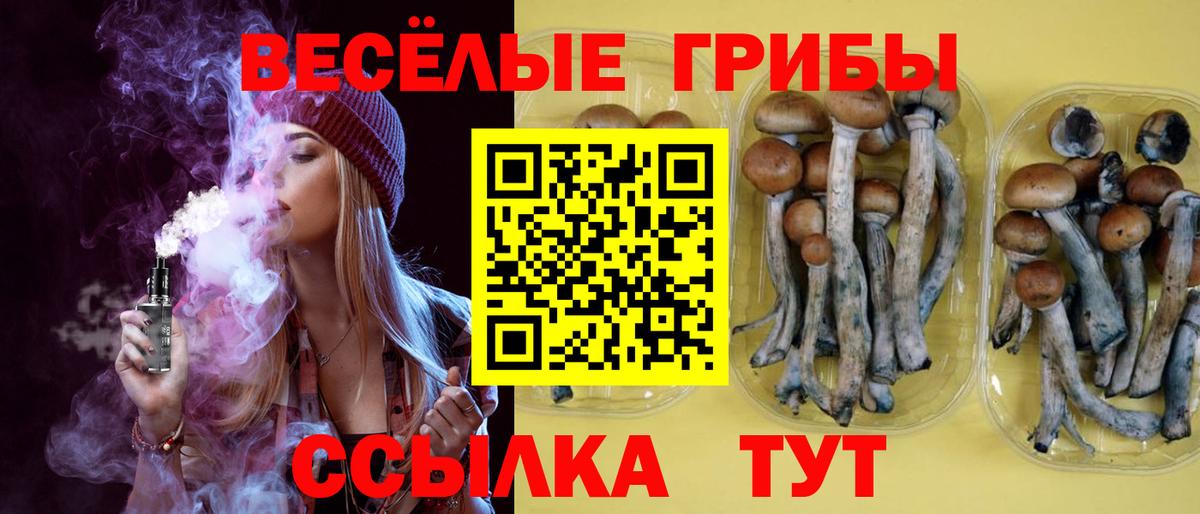 Губаха  Галлюциногенные грибы Magic Shrooms  Вход с VPN 